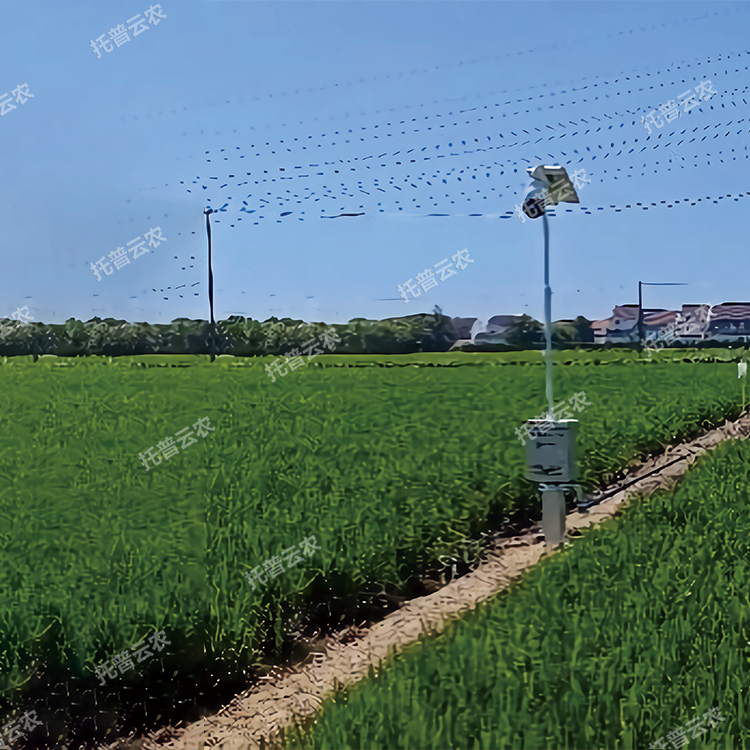 自動(dòng)趕蛾智能統(tǒng)計(jì)桿 TP-GESB2.0