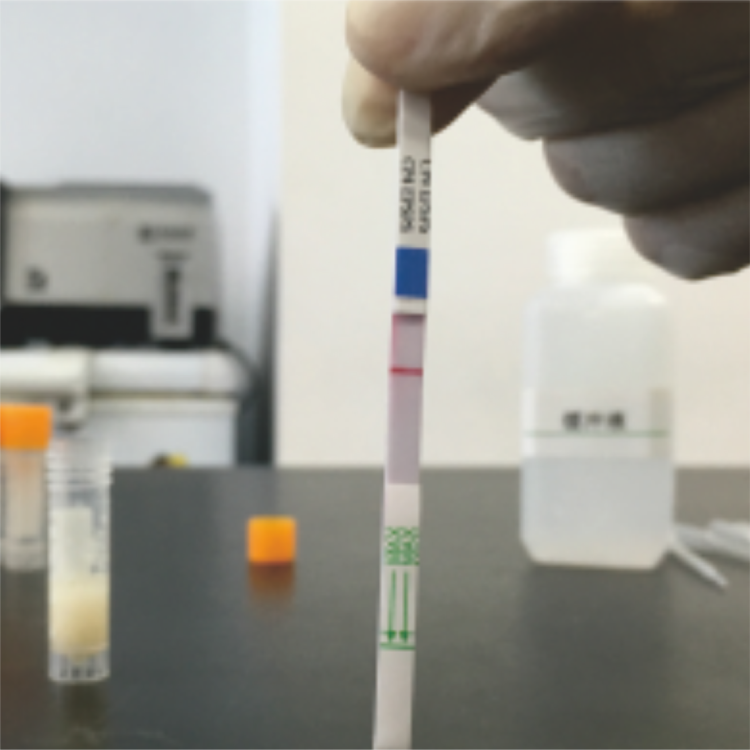 轉基因快速檢測試紙（抗除草劑系列）